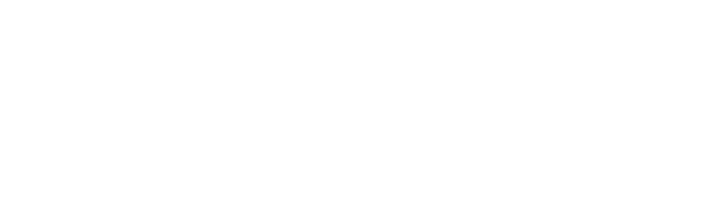 Max专注